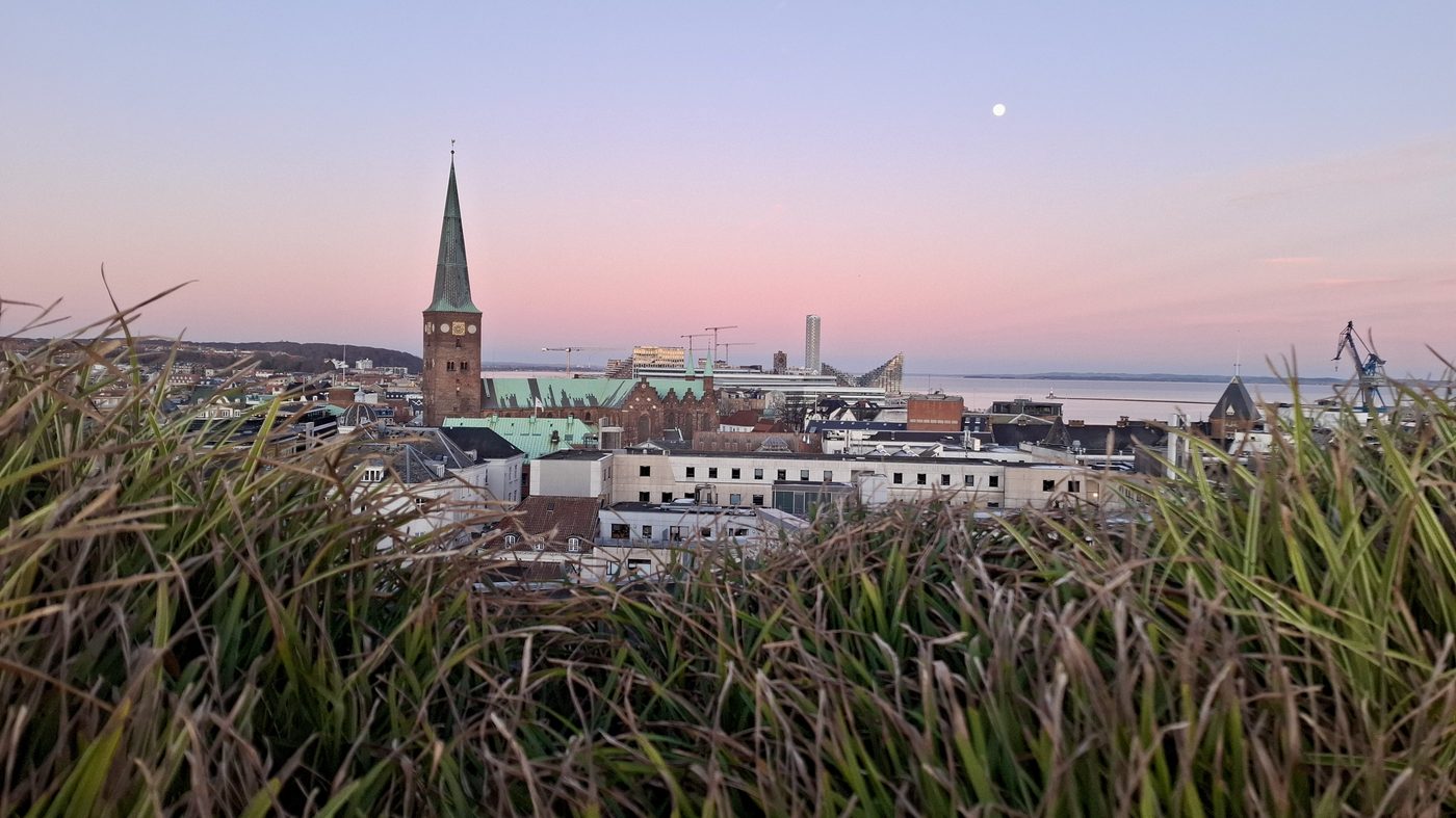 Aarhus Cathedral spire and rooftop view of the old town