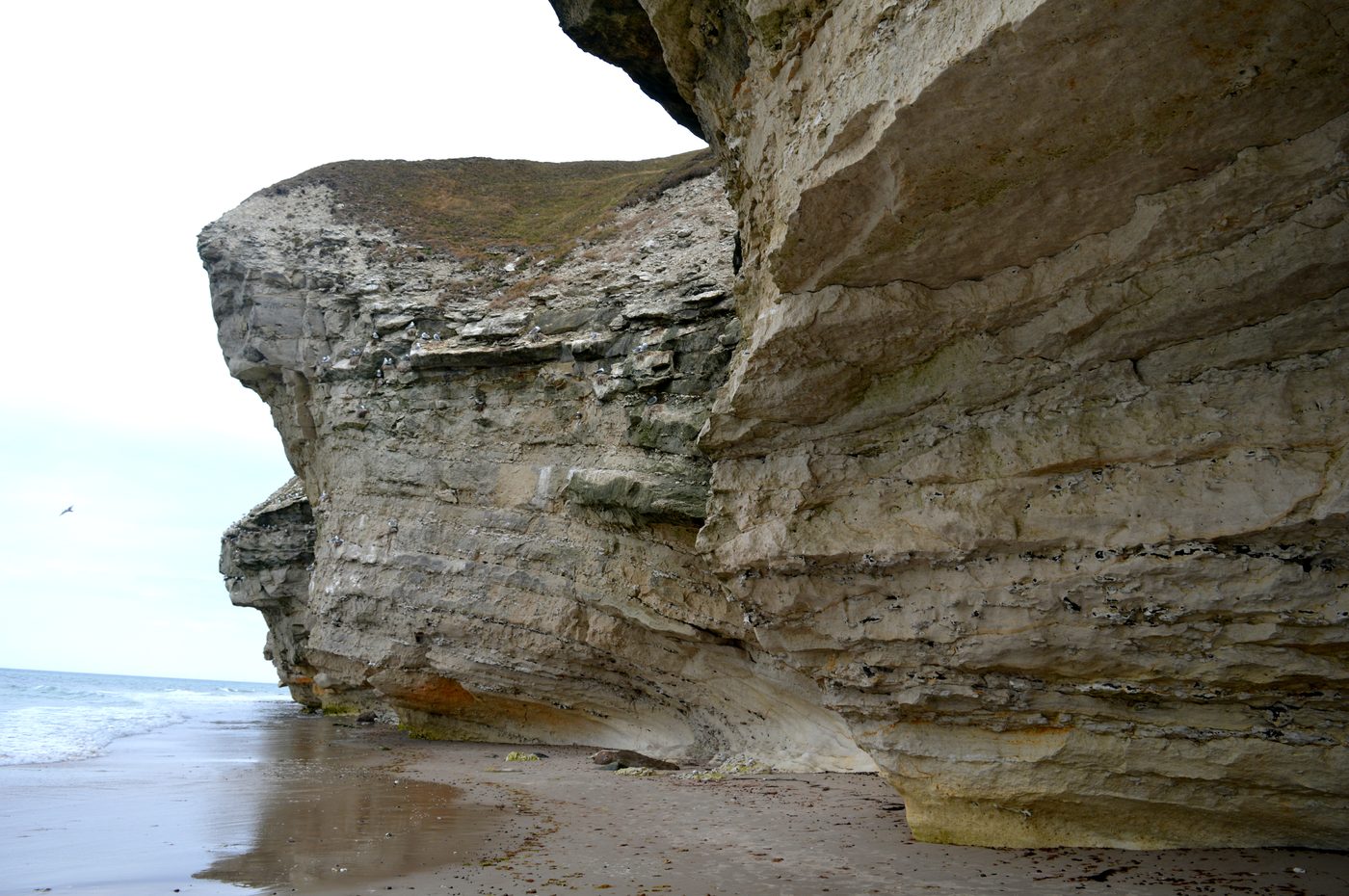 Bulbjerg cliff seen from the dune approach with the top viewpoint and the Skagerrak beyond