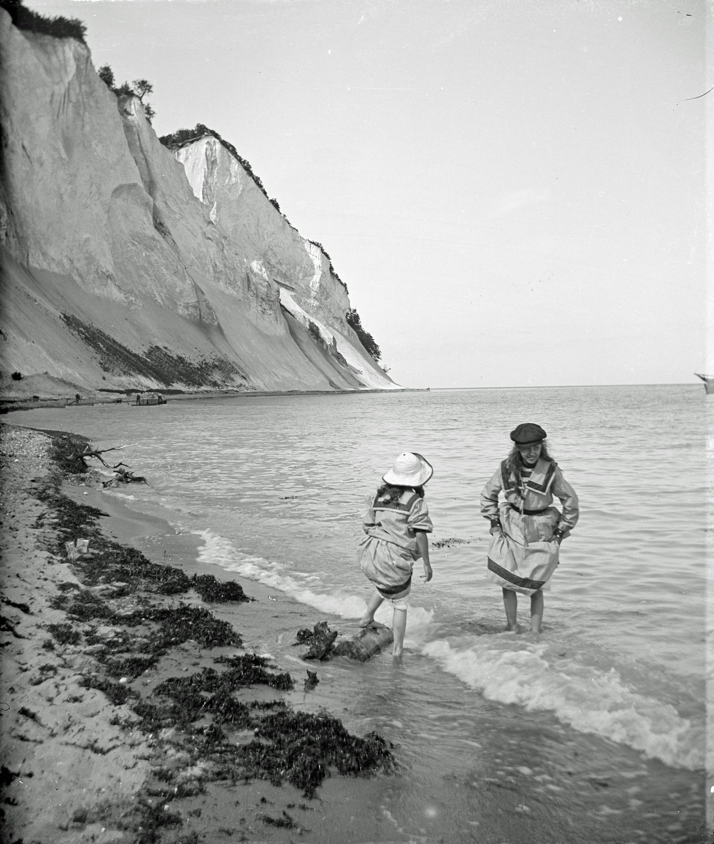Dronningestolen viewpoint at Møns Klint — vertical white chalk dropping to the Baltic, beech forest on top