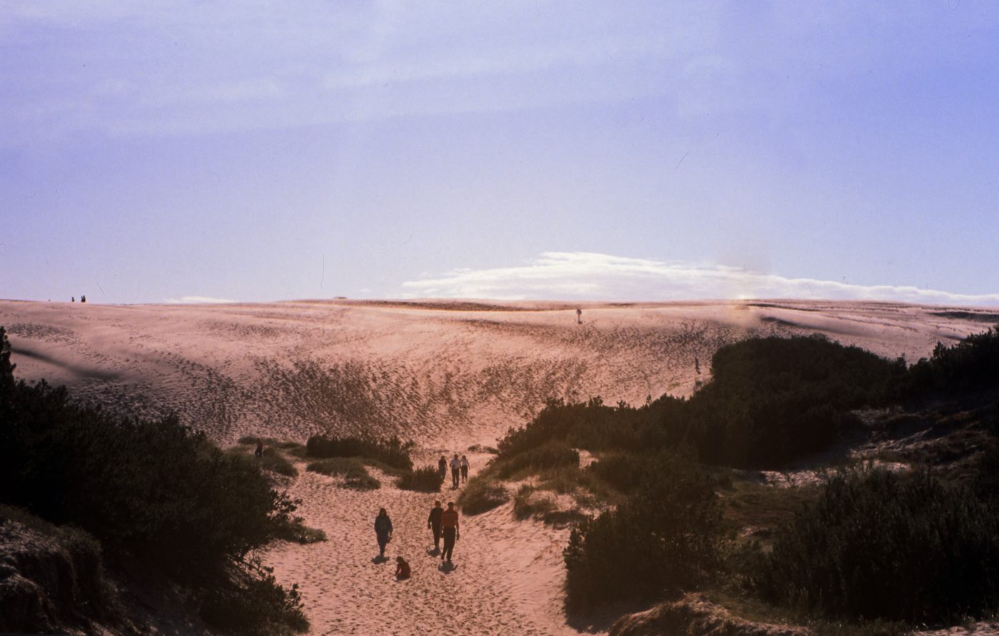 Råbjerg Mile sand dune — Northern Europe's largest migrating dune, south of Skagen